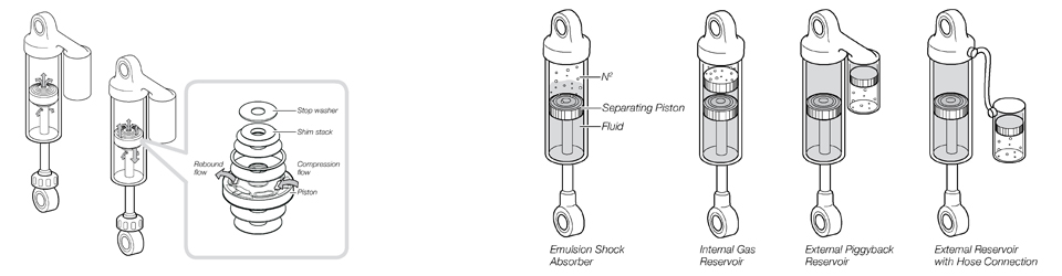 ohlins_anatomy_image