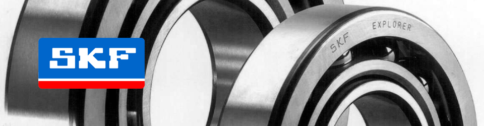 SKF Bearings